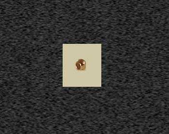 Zoom image
