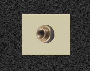 Zoom image