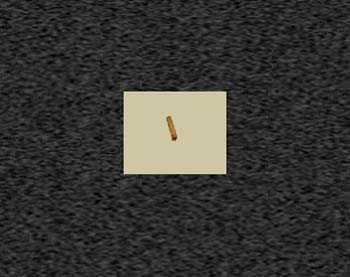 Zoom image