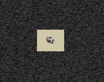 Zoom image