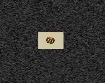 Zoom image