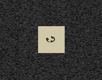 Zoom image