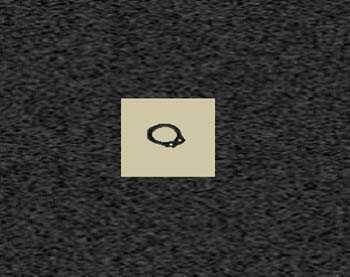Zoom image