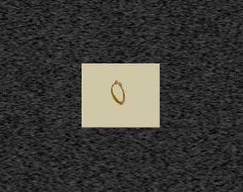 Zoom image