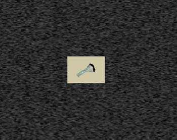 Zoom image