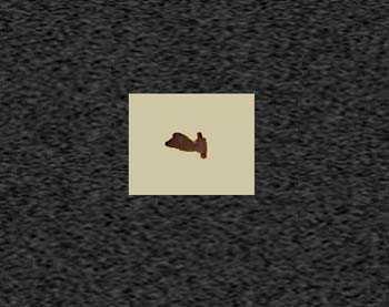 Zoom image